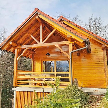 Ica - Hisica V Hribih Vila Kamnik Exterior foto