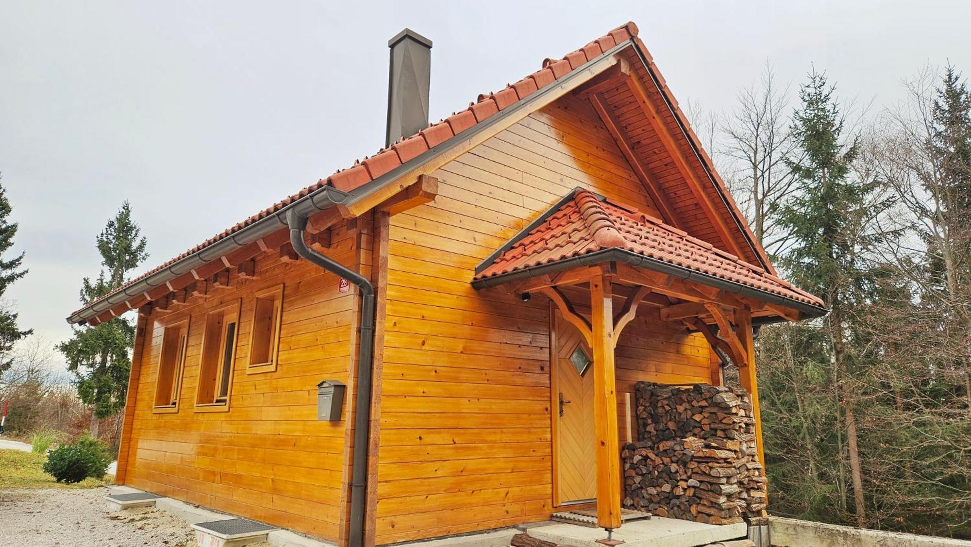 Ica - Hisica V Hribih Vila Kamnik Exterior foto