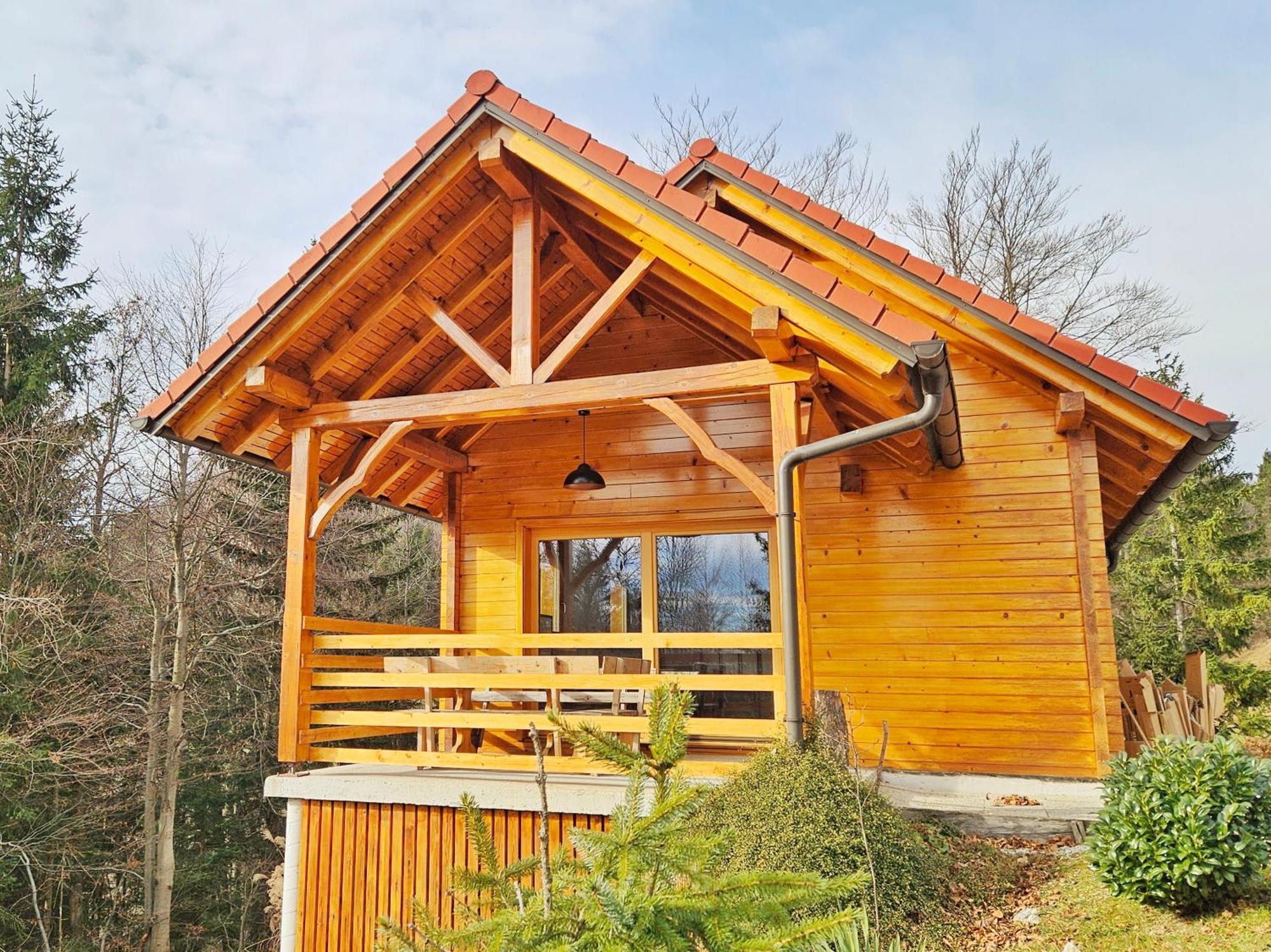 Ica - Hisica V Hribih Vila Kamnik Exterior foto